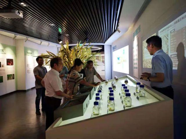 安徽省农业科学院水稻研究所一行到访青岛海水稻研究发展中心