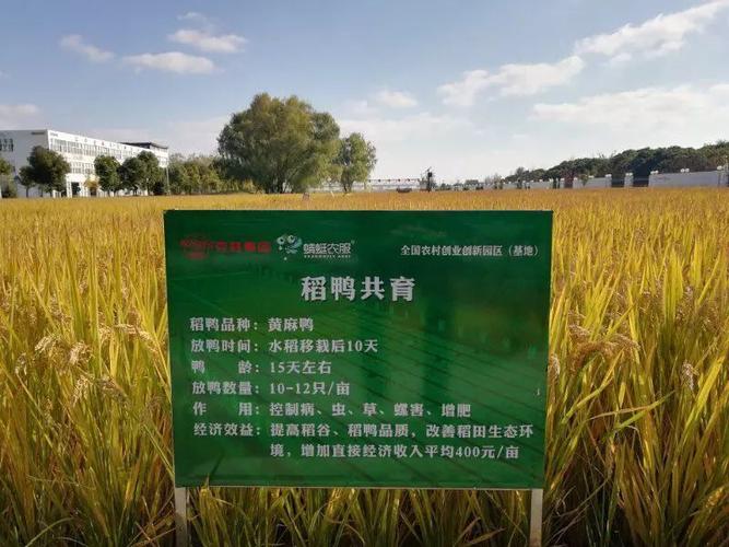 集团建立的江苏省现代农业科技综合示范基地即蜻蜓未来农业工厂参观