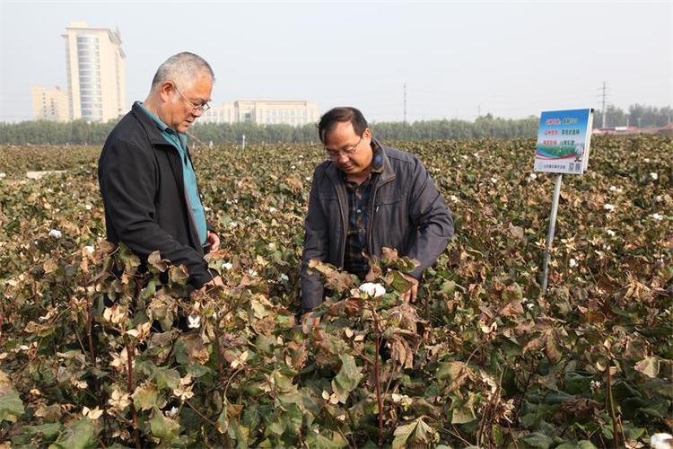 河北省农林科学院棉花研究所到山东棉花研究中心对标学习试验站建设